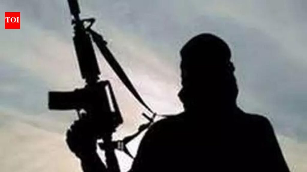Army, CRPF, J&K police launch joint operation in J&K’s Udhampur after input on suspicious movement | India News