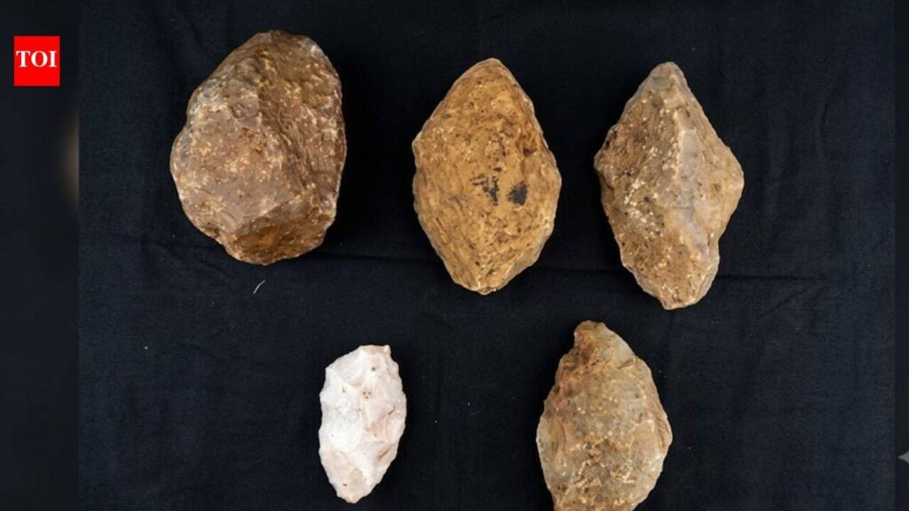 In 2016, a water leak repair in Bengaluru uncovered 5 stone implements that an archaeologist linked to the Palaeolithic age, suggesting humans may have lived in the city around 4 lakh years ago | Bengaluru News