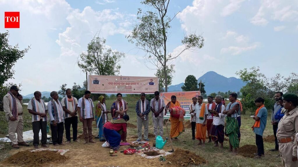 Plantation drive on PM’s birthday | Bhubaneswar News