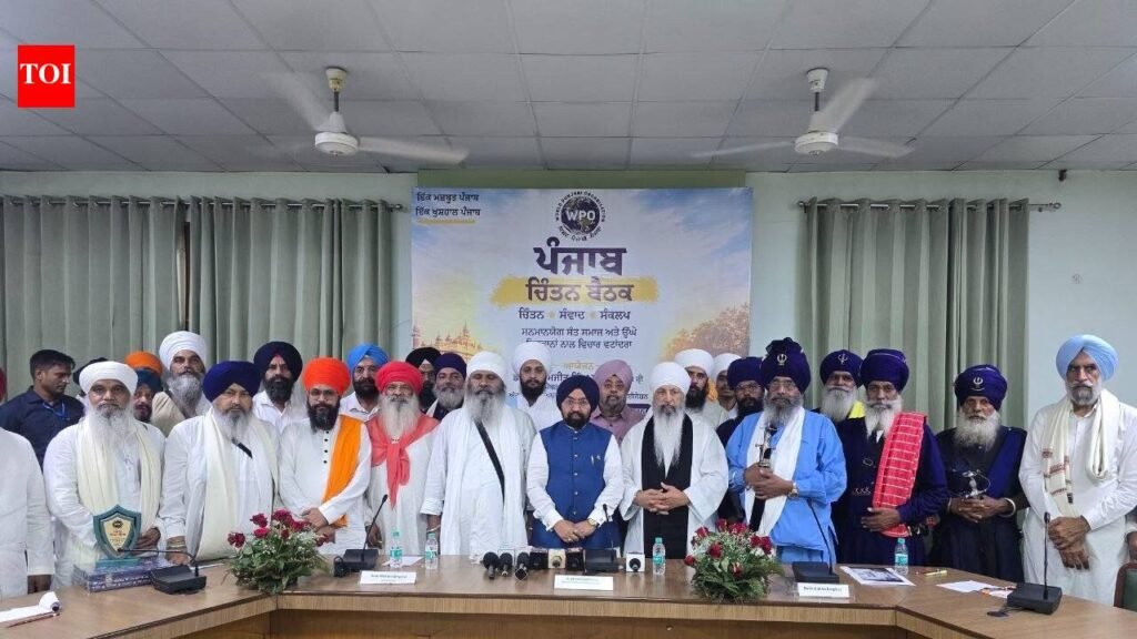 Conversions by coercion, allurement in Punjab won’t be tolerated, says MP who left AAP for BJP | Chandigarh News