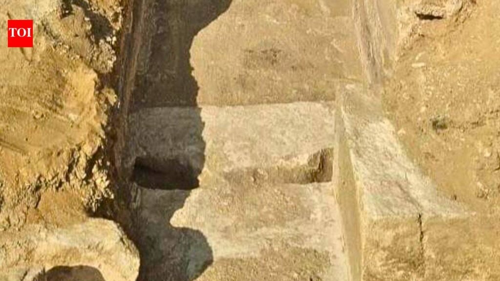 Egyptian archaeologists uncovered a tomb at Saqqara with 3 sealed sarcophagi and more than 100 figurines from later burials | World News