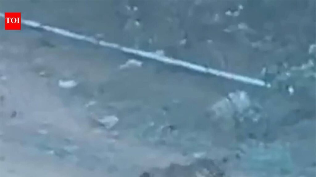 Leopard spotted near NSG campus in Manesar | Gurgaon News