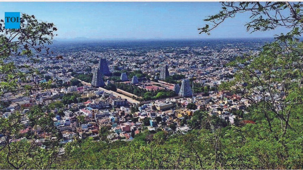 Tamil Nadu’s mission to repair the hills of Tiruvannamalai | Chennai News