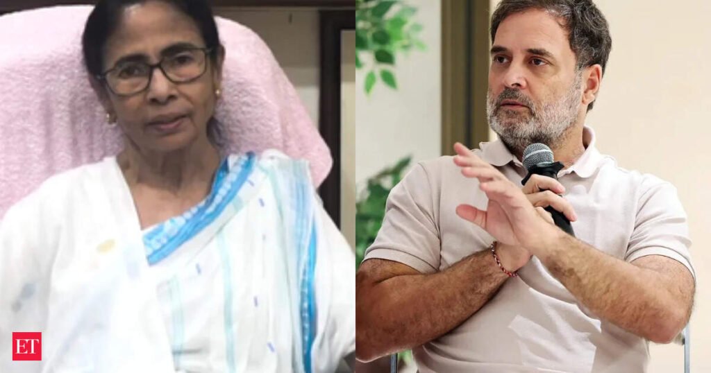 Rahul Gandhi slams EC over TMC name, symbol ban, says ‘vote chori, govt chori, now party chori’