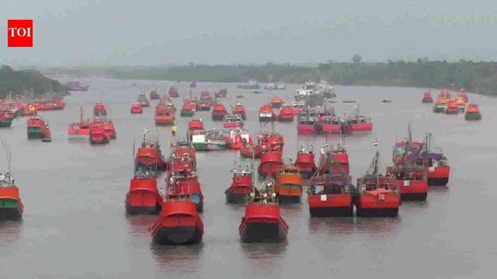 Gujarat looks to expand deep-sea fishing footprint | Ahmedabad News