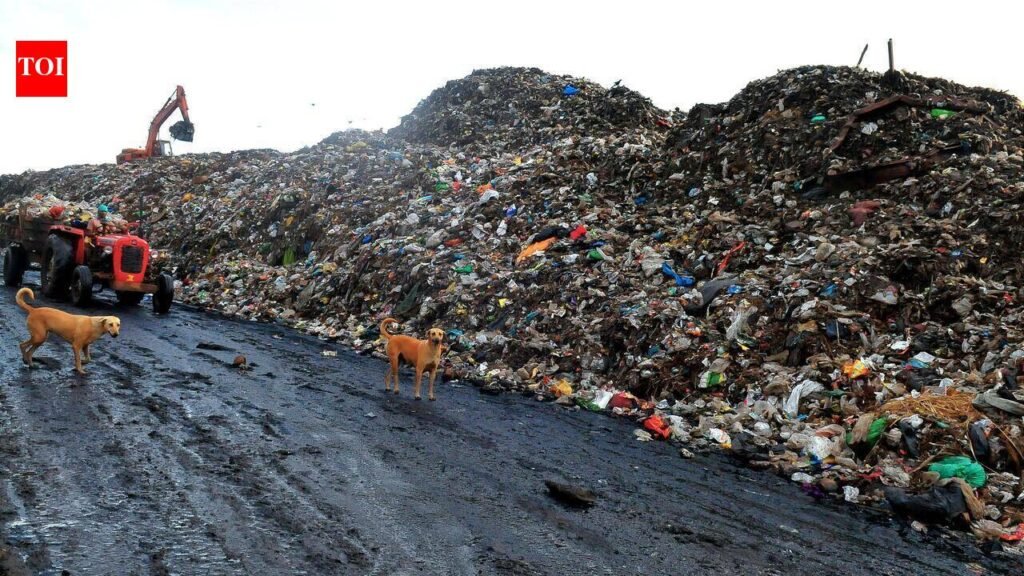 Pune civic body proposes setting up 300 MT waste-processing plant to improve garbage handling capacity | Pune News