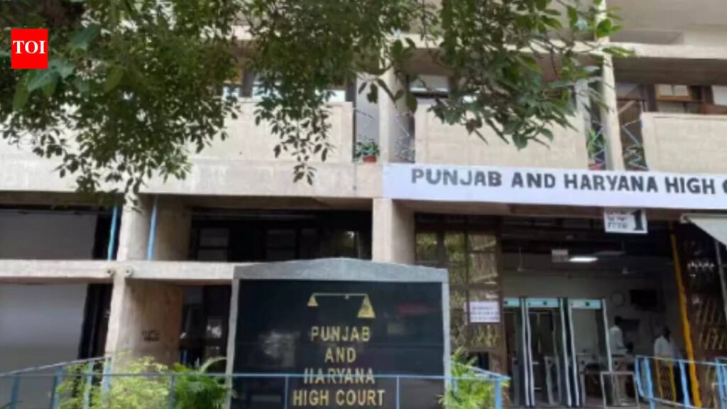 Punjab and Haryana high court stays re-employment of PGIMS Rohtak medical superintendent, puts 58-year age cap under scrutiny | Chandigarh News