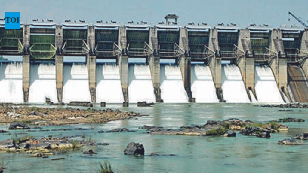 Jharkhand to set up expert panels for safety review of 59 key dams | Ranchi News