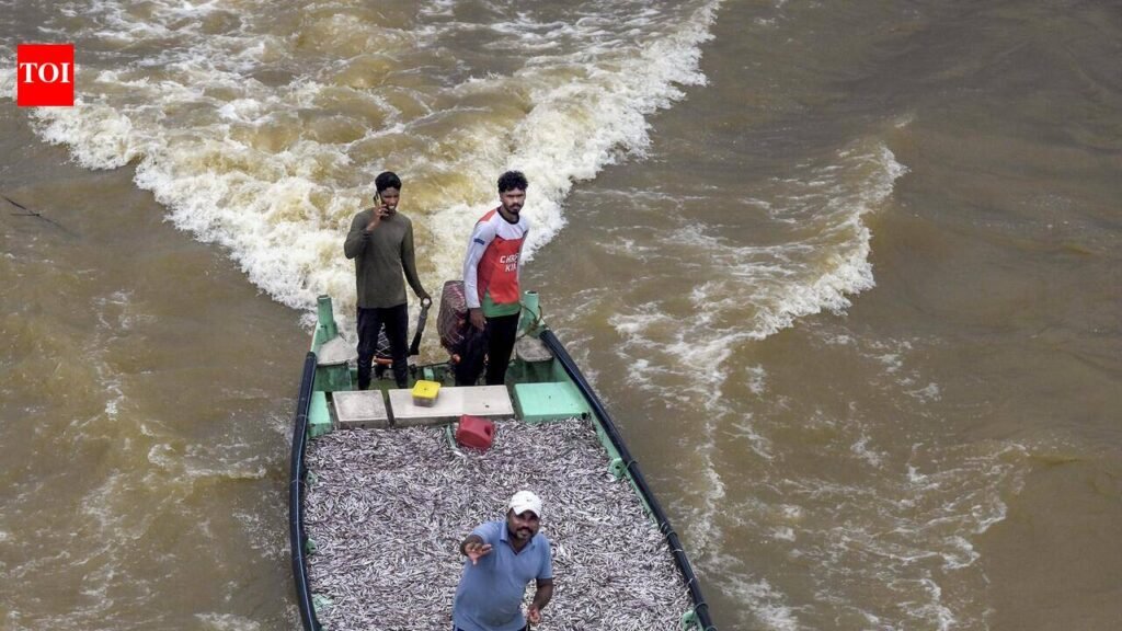 Keralam govt mulls insurance coverage for natural death of fishermen | Thiruvananthapuram News