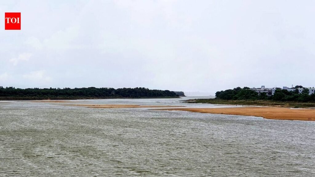 Revenue board ends 4 decade-long Kuakhai riverbed land dispute | Bhubaneswar News