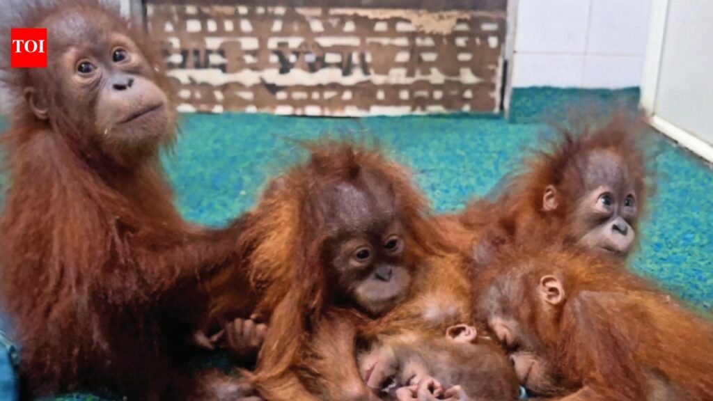 Wildlife transit hub | Bhubaneswar News