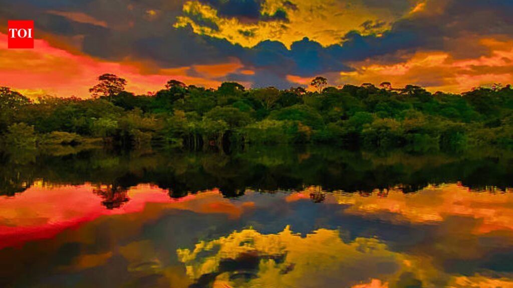 In 1927, Henry Ford took over a stretch of the Amazon rainforest to build an American town inside it; in 1945 he was forced to sell it for $250,000
