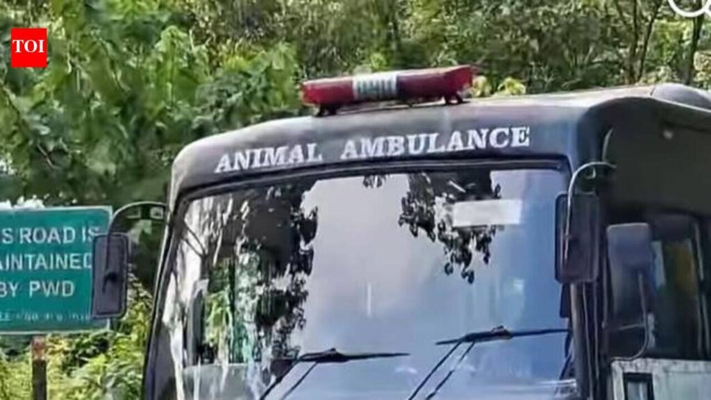 Rain, rough terrain challenges ahead of tiger capture op | Kolkata News