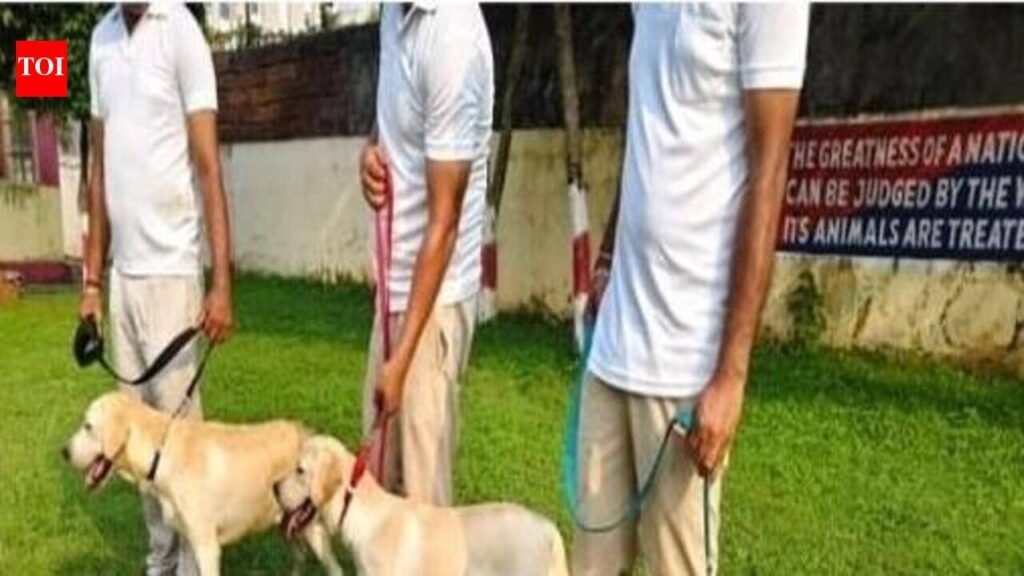 RPF seizes narcotics | Bhubaneswar News