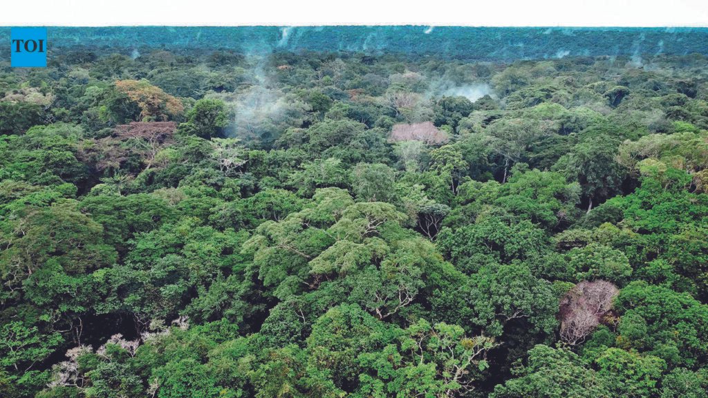 HC pulls up revenue dept, says forest land beyond its jurisdiction | Hyderabad News