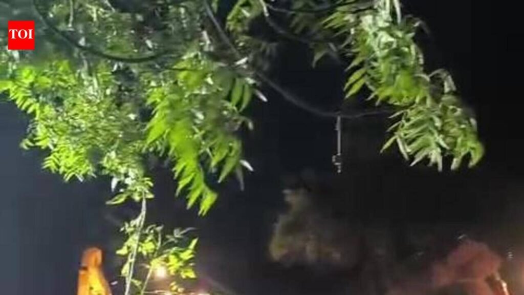 Illegal religious structures in reserved forest razed | Rajkot News
