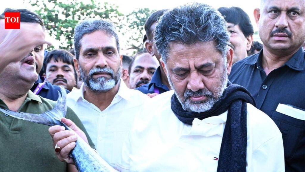 CM orders probe after fishing halted during M’luru harbour visit | Bengaluru News