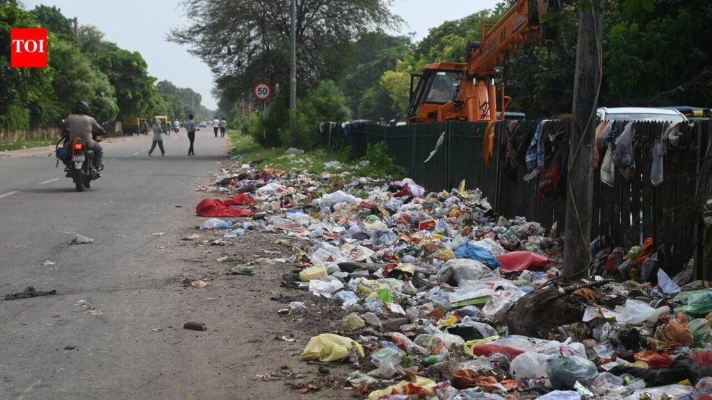 Failing Swachh benchmarks, Panchkula MC enrols in sanitation training | Chandigarh News