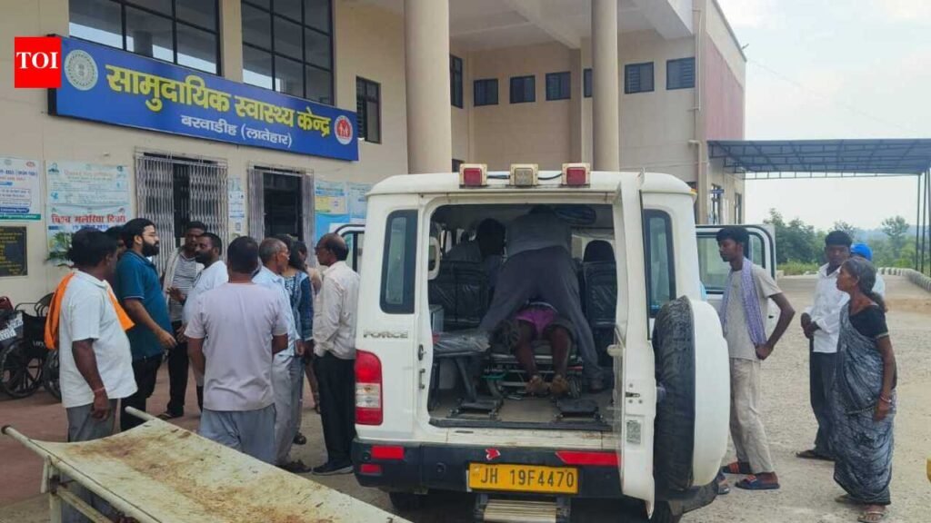 Farmer dies after bee attack in Barwadeeh, Latehar district | Ranchi News