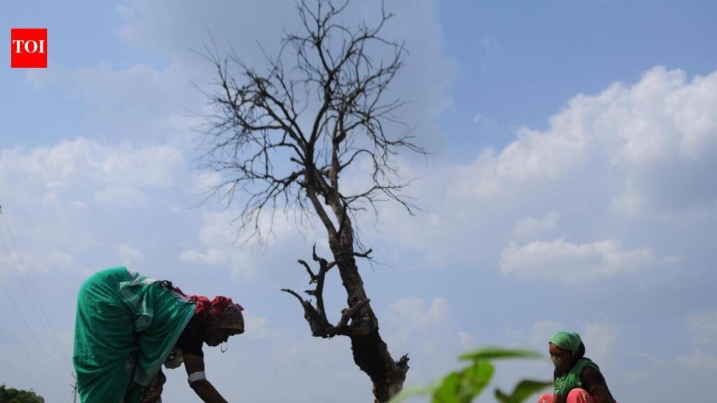 State emerges as major drought hotspot in new climate study | Bhubaneswar News