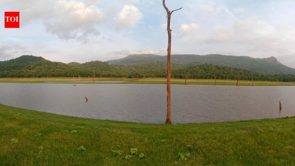 Forest clearance delay keeps Honnekodige lift irrigation project stalled for 50 years | Mysuru News