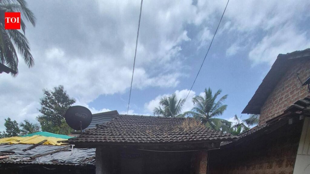 In Goa, family abandons body as it can’t afford firewood | Goa News