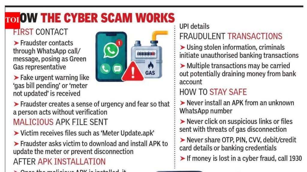 45 Green Gas customers complain of cyber fraud | Lucknow News