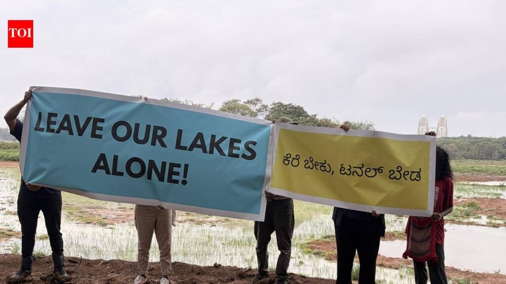 ‘Hands off our lakes’: Citizens oppose Bengaluru’s Hebbal short tunnel | Bengaluru News