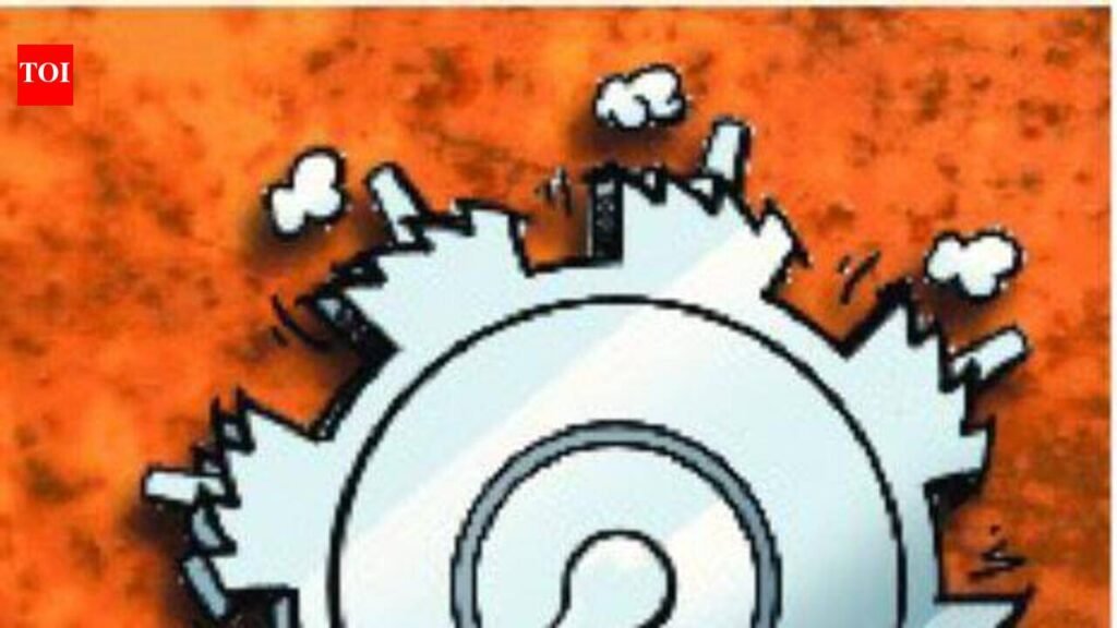 State plans pilot projects on energy storage, decarbonisation | Goa News
