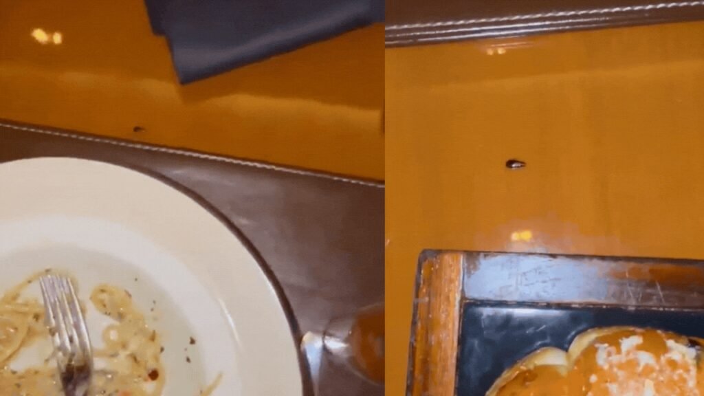 ‘Roachie’ joins dinner at Mumbai JW Marriott: Cardiologist finds baby cockroach, hotel responds | Mumbai News
