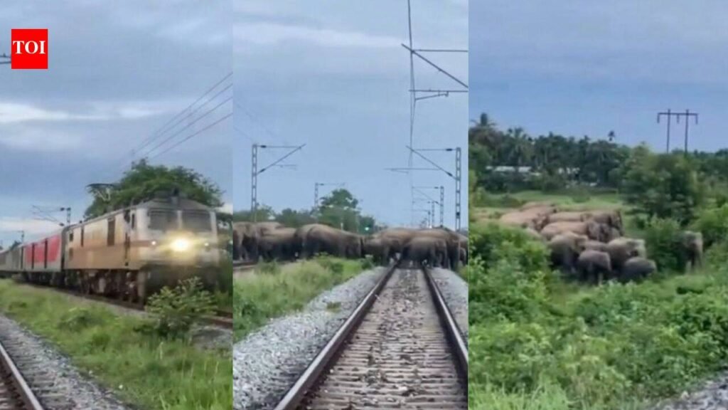 When Rajdhani Express stopped in Assam: The unusual encounter that held up India’s one of the superfast trains