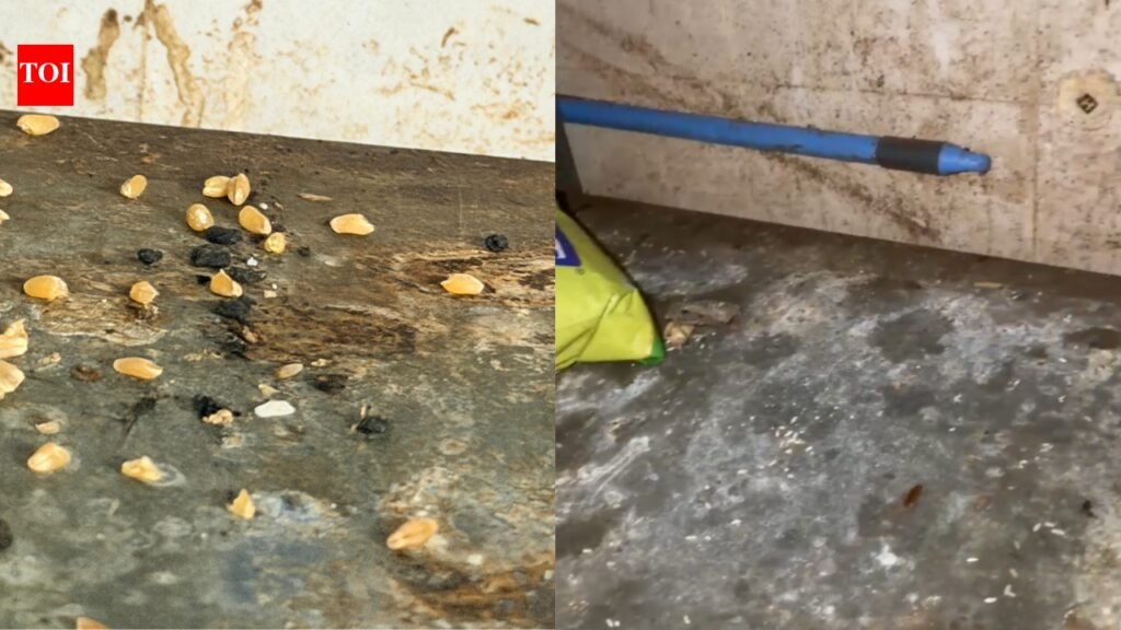 Rodent droppings, live cockroaches, dirty toilet: Mumbai FDA cracks down on Swiggy Instamart store, mithai shops | Mumbai News