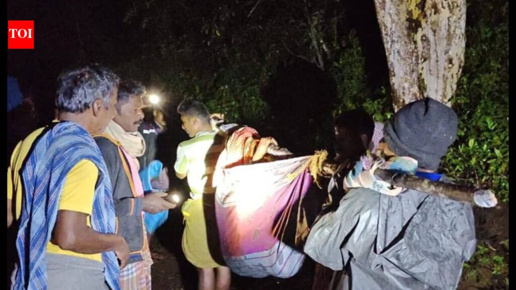 Dharmapuri hill village residents carry patient in doli eight km as they lack road | Coimbatore News