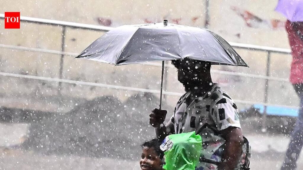 IMD forecasts cloudy skies, light rain this week for Chennai | Chennai News