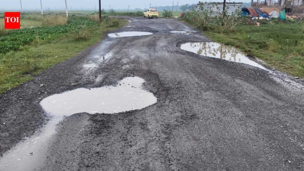 Road condition Bhitarkanika full of potholes | Bhubaneswar News