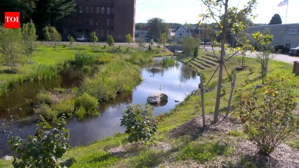 For half a century, Massachusetts’ Mill Brook ran beneath a downtown parking lot; Athol has now uncovered it, created 12,000 sq ft of wetlands and turned 53,000 sq ft of pavement into vegetation