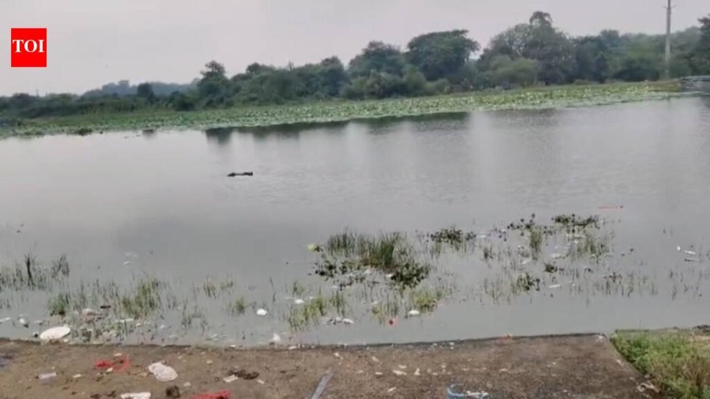 Bokaro Surya Sarovar sees mass fish deaths, probe underway | Ranchi News