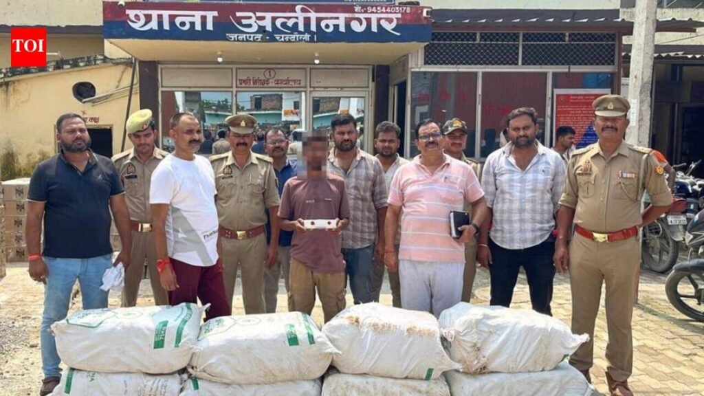 Ganja worth Rs 1.25cr seized in Chandauli; 1 held | Varanasi News