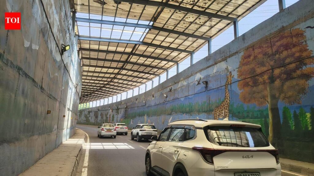 GMDA set to take over 20 underpasses, footbridges and NMT links along Delhi-Gurgaon Expressway | Gurgaon News