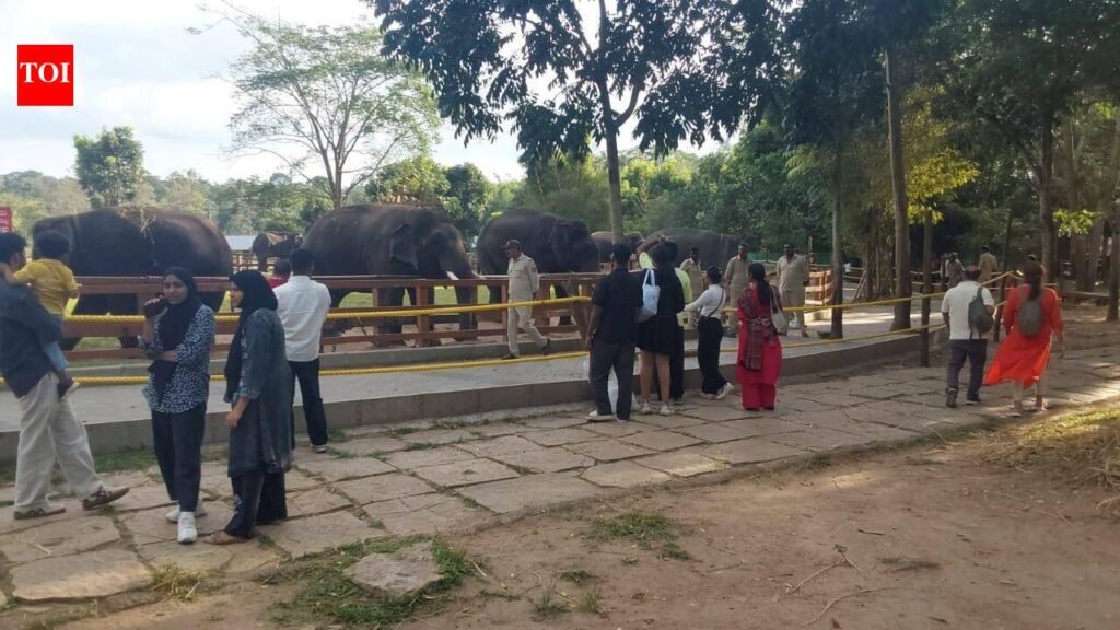 After 4 months, Dubare Elephant camp reopens to tourists | Mysuru News