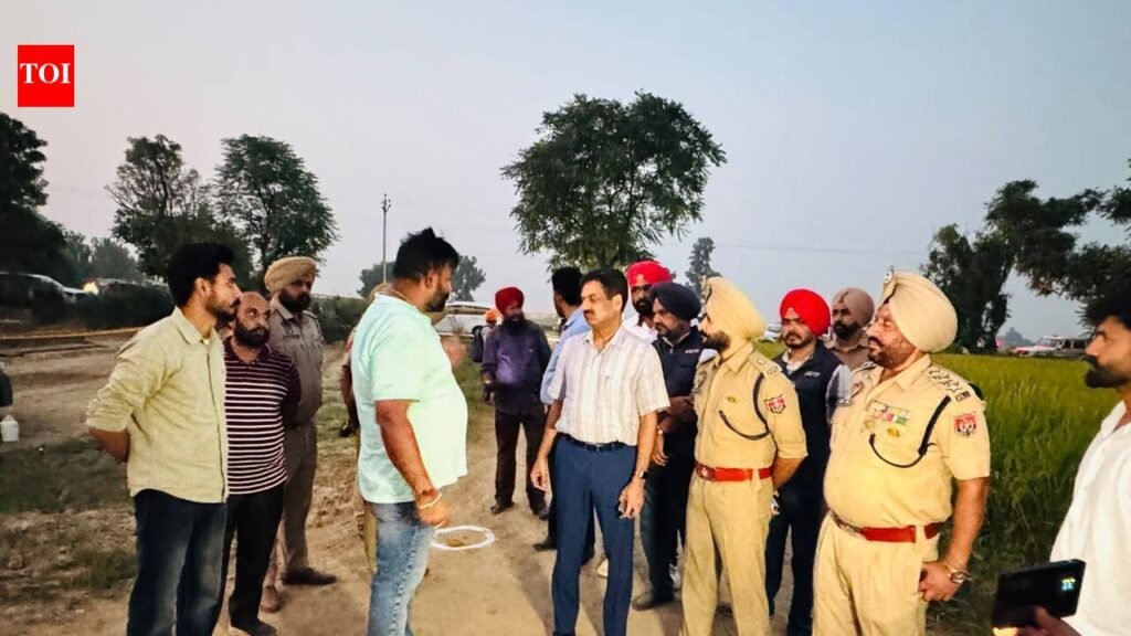 Wanted accused killed in exchange of fire with Tarn Taran police | Chandigarh News