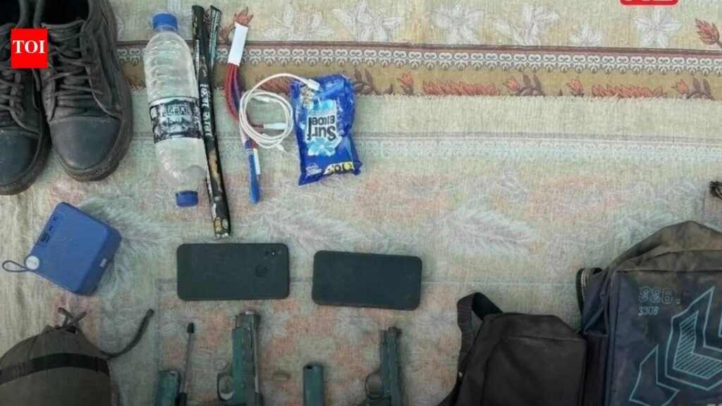 2 pistols, ammo seized in Dima Hasao; 1 detained | Guwahati News