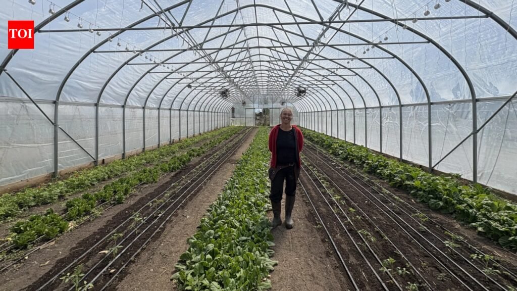 In 2010, a financially ruined couple started farming on leased land; after hitting $100,000 on one-third acre in New York, their farm now pushes nearly $700,000 a year from mostly 2.5 acres
