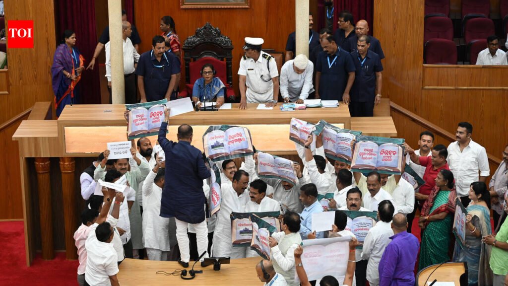 MMDR, textbook rows disrupt Odisha assembly proceedings | Bhubaneswar News