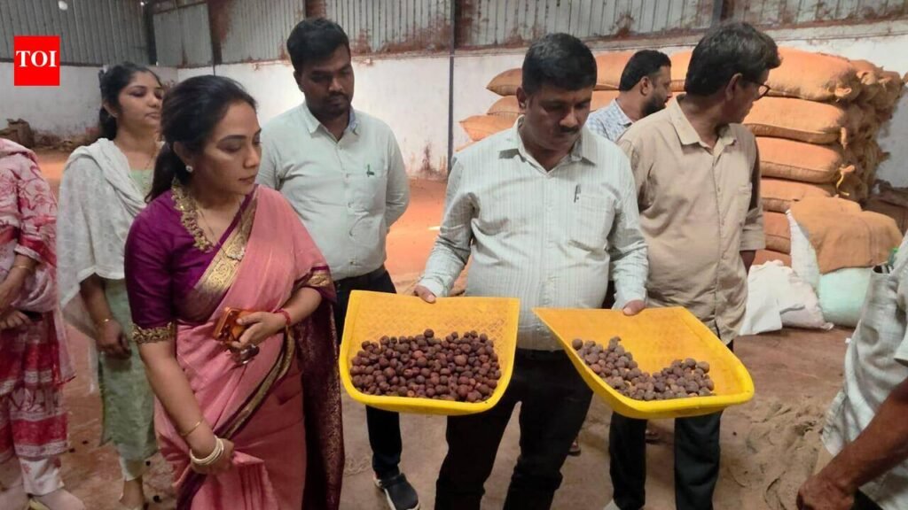 Officials raid arecanut processing unit over toxic dye adulteration | Mysuru News