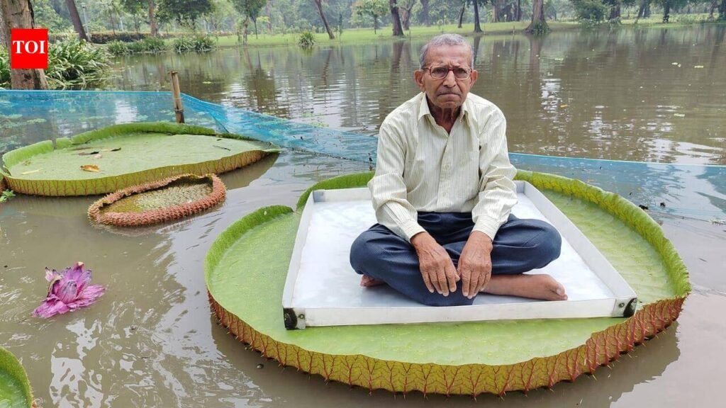 How’s this for a chair? Botanic Gardens invites visitors to sit on giant water lily leaves | Kolkata News