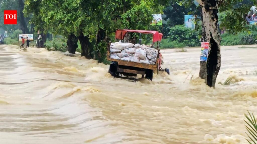 MP tragedy prompts Odisha govt to intensify vigil at low bridges, culverts | Bhubaneswar News