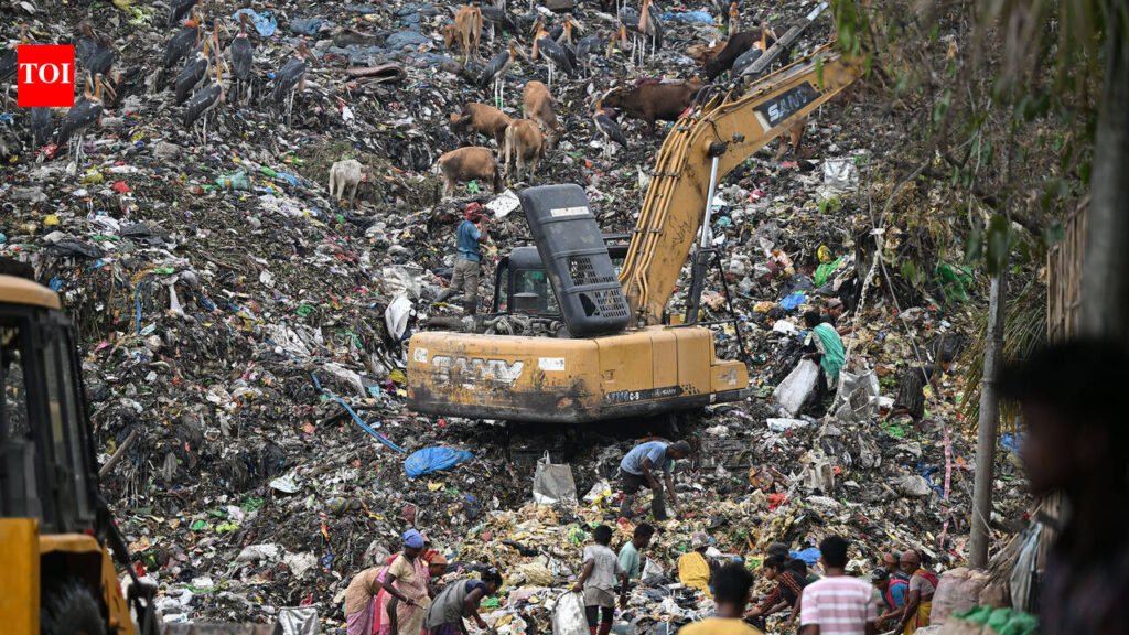 City’s cleanliness contest ends on a high, but waste remains a challenge | Guwahati News
