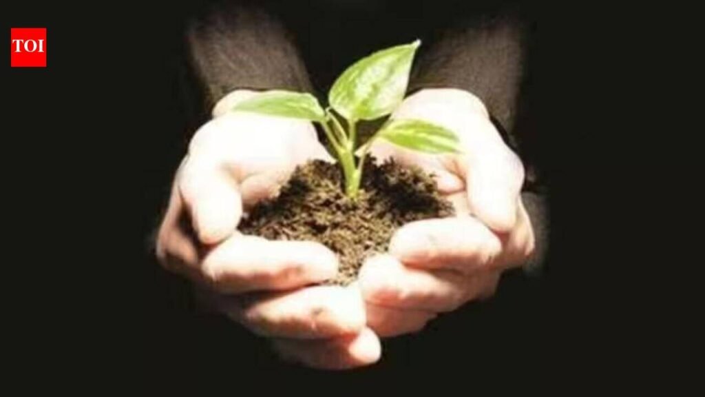 Chinmaya Vidyalaya to plant 75,000 trees to mark 75th anniversary of Chinmaya Mission | Chennai News