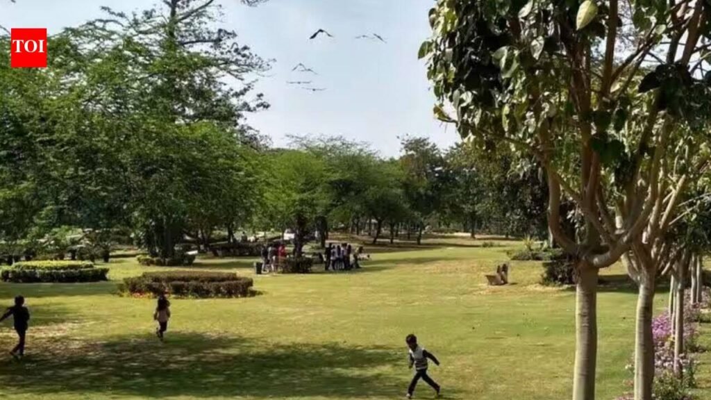 ‘Firearms, knife and more’: How 3 men posing as cops turned 17-year-old’s birthday outing into a nightmare | Delhi News
